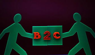 外貿b2c商城建設系統軟件分享