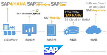 廈門中小企業erp系統管理開發